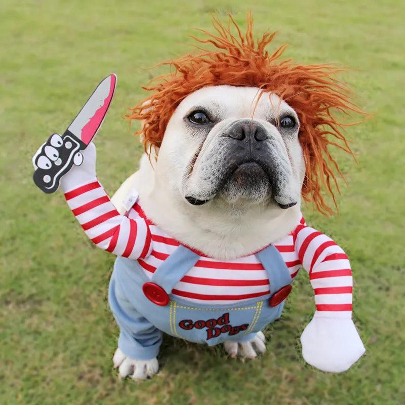 Chuck de fantasía canina para Halloween